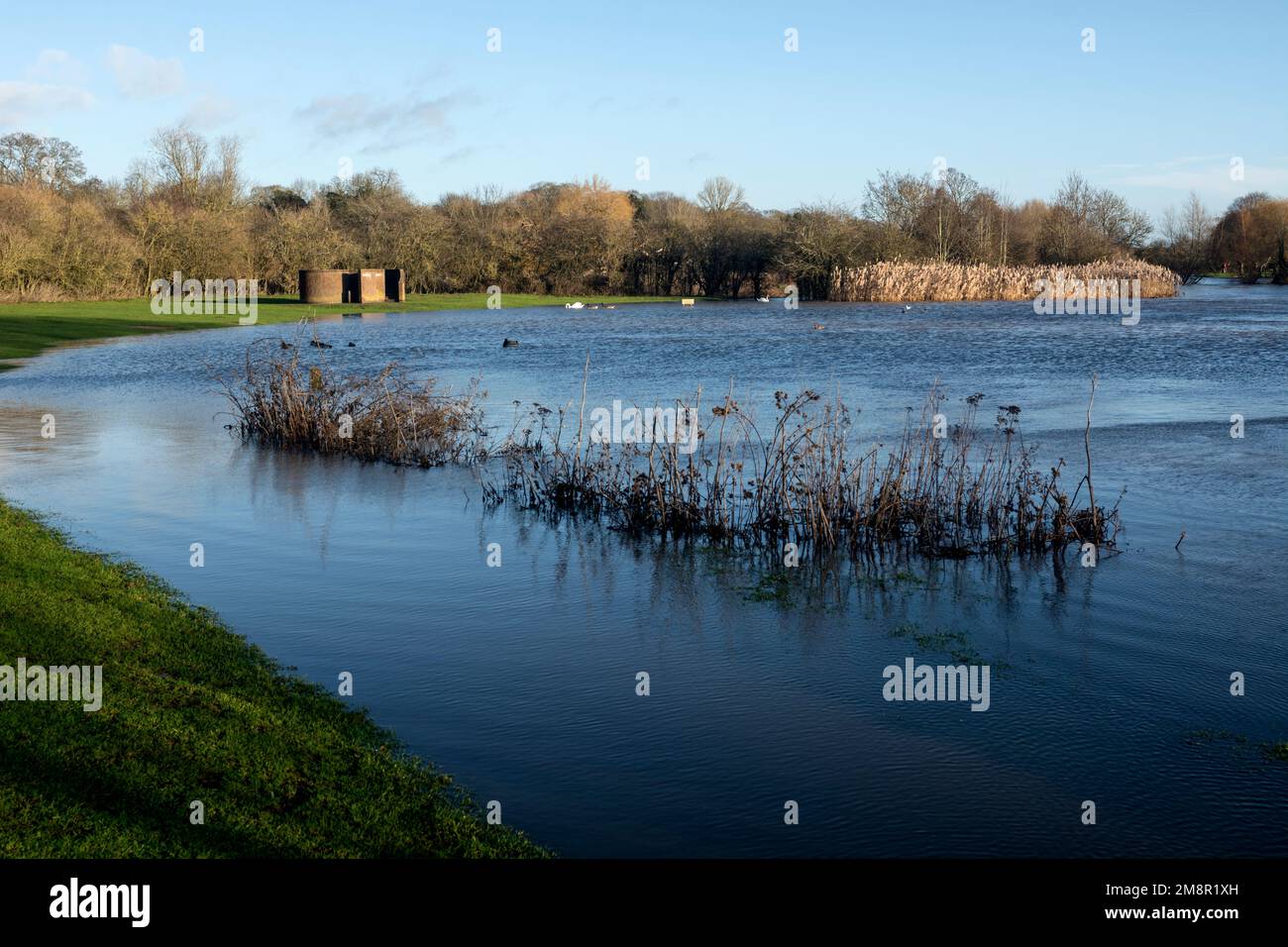 Il fiume Avon presso il Fisherman's Car Park durante gli alti livelli d'acqua, Stratford-upon-Avon, Warwickshire, Regno Unito Foto Stock