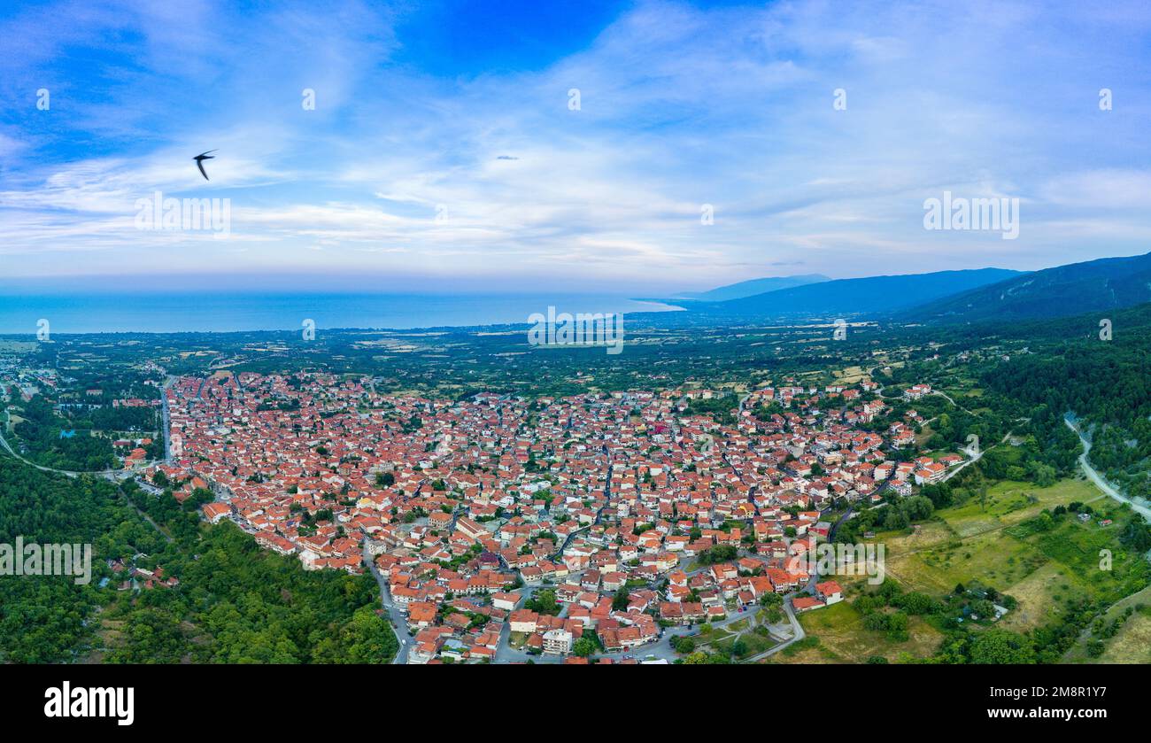 Panorama di piccolo greco tranquillo villaggio turistico di Litochoro con piccole case con tetti di tegole rosse e verde fresco e luminosa vegetazione sullo sfondo o Foto Stock