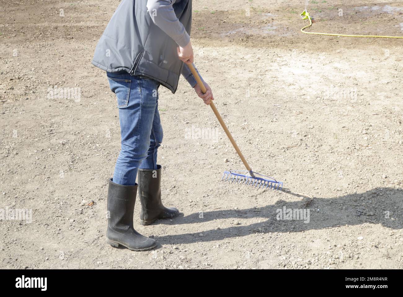 Coltivatore che usa un rastrello per generare uno strato di cima fine di suolo. Che pianta erba. Processo di semina e coltivazione di un prato. Serie di foto. Foto Stock