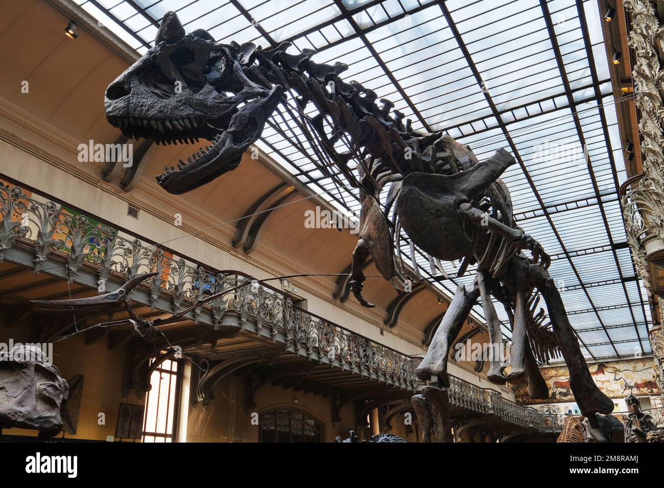 Parigi, Francia - Maggio, 2022: Museo di Storia Naturale di Parigi fossili e scheletri della Galleria Paleontologica e Anatomia comparativa Foto Stock