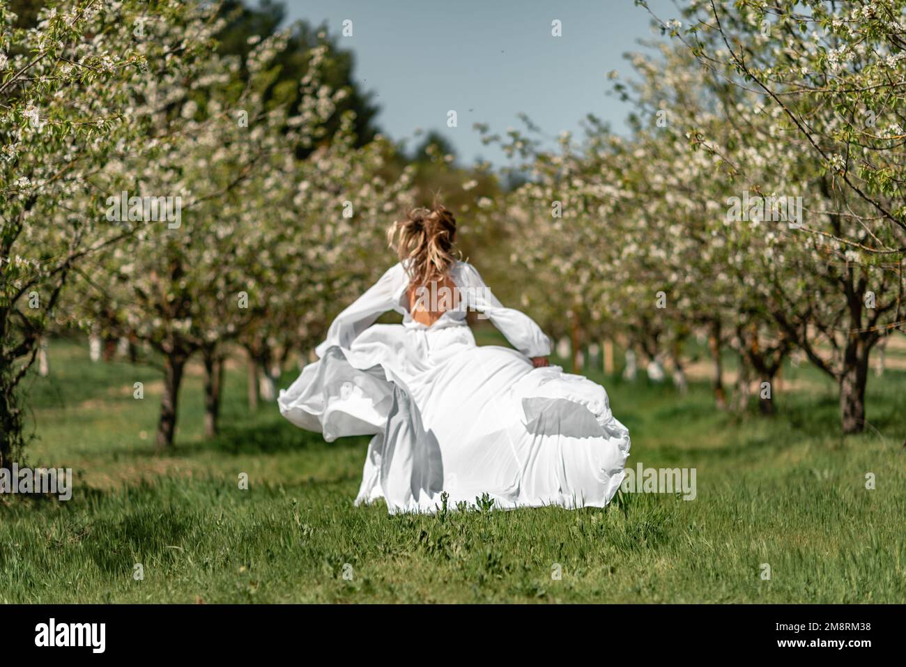 Una donna vestita di bianco attraversa un frutteto di ciliegia in fiore. Il lungo vestito vola ai lati, la sposa corre gioendo nella vita. Foto Stock