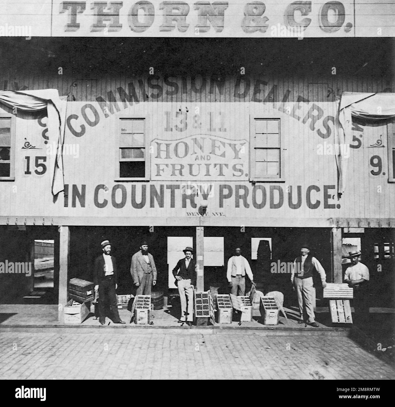 Thorn and Co - i concessionari in Country Products - miele e frutta - 1874 Foto Stock