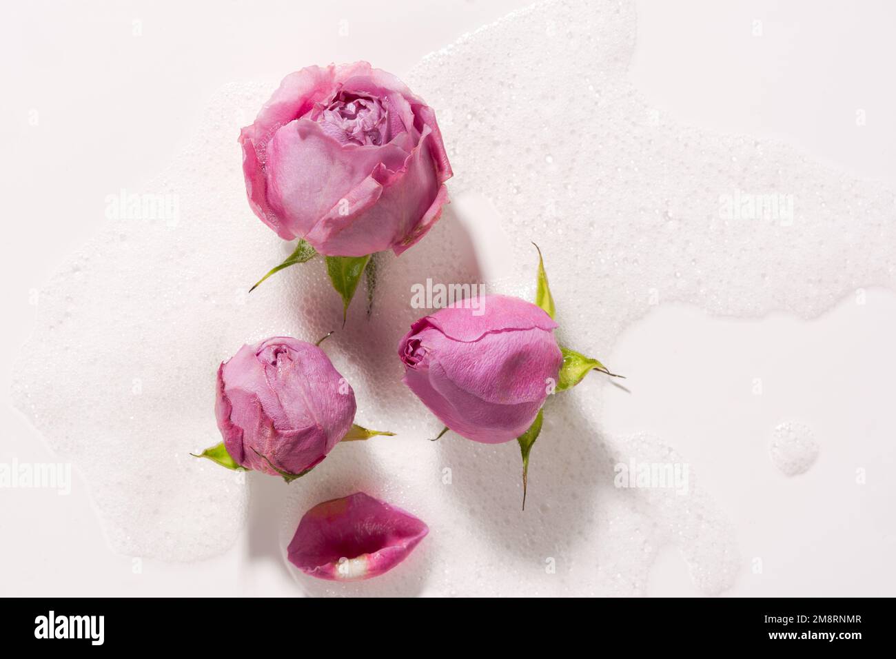 Roses schiuma acqua primo piano. I rosebuds galleggiano in acqua saponata. Il concetto di spa, relax e divertimento. Design dall'atmosfera autentica per prodotti cosmetici Foto Stock
