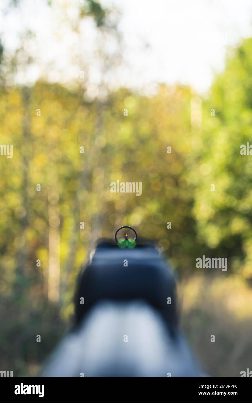 Vista attraverso la vista della pistola ad aria, fucile in prima persona. Foto di alta qualità Foto Stock