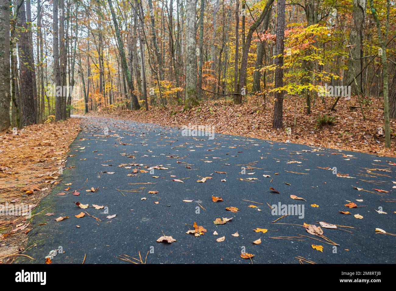 Un sentiero asfaltato attraversa un parco della Georgia settentrionale con un bel fogliame autunnale che circonda il percorso. Foto Stock
