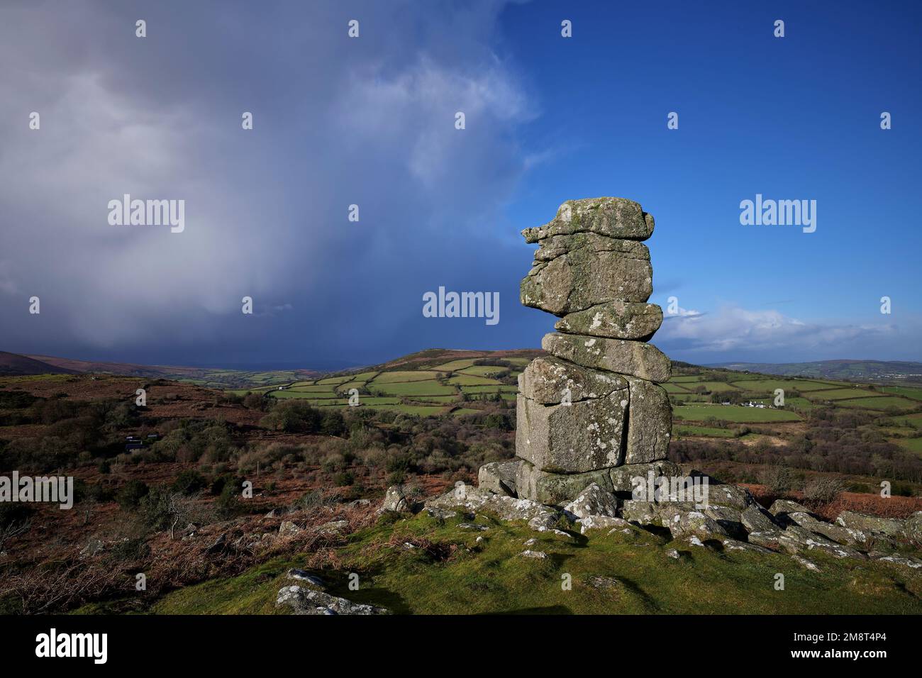 Bowerman's Nose, Dartmoor National Park, Devon, Regno Unito Foto Stock