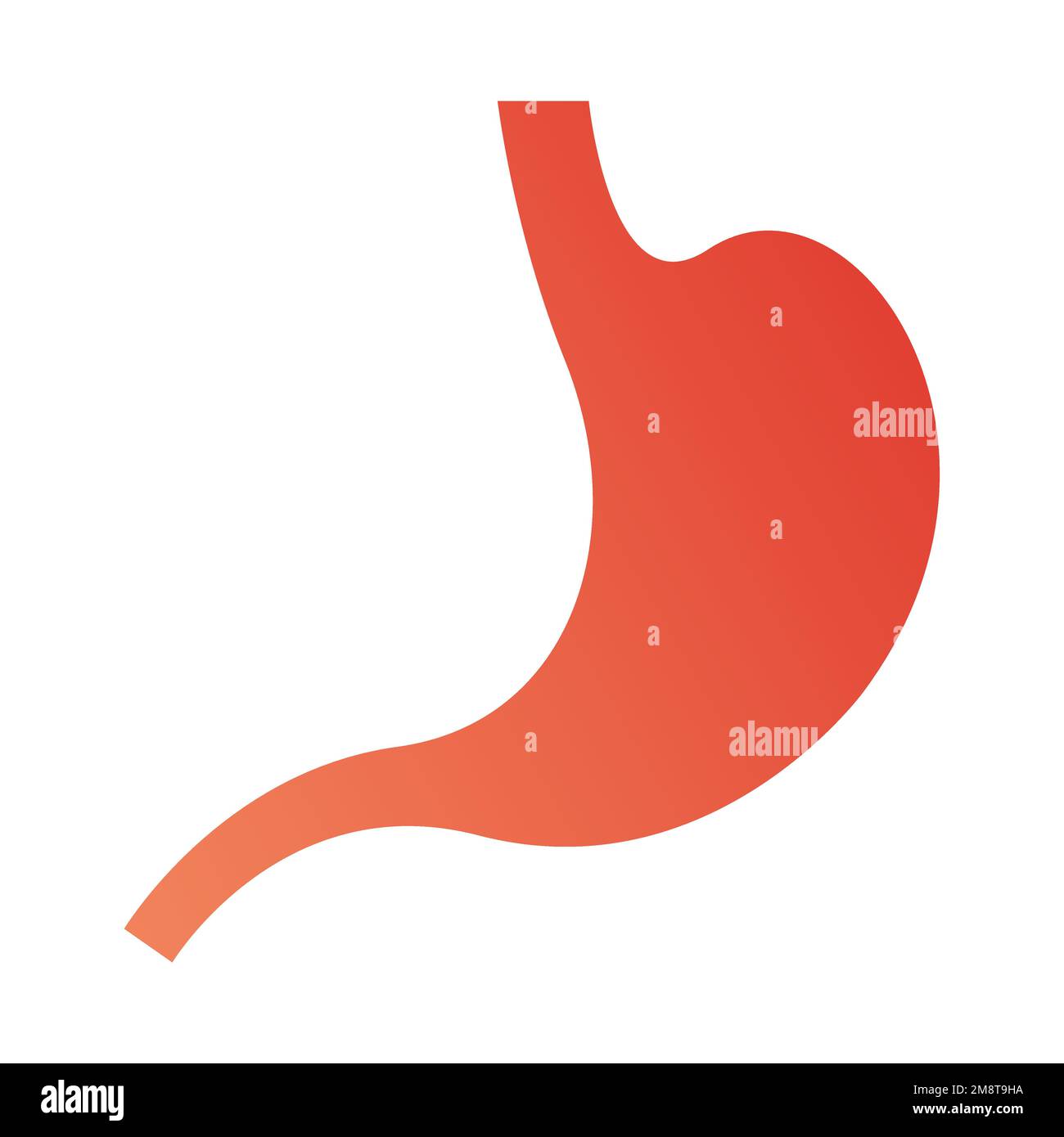 Un vettore dell'icona dello stomaco umano isolato sullo sfondo bianco vuoto Illustrazione Vettoriale
