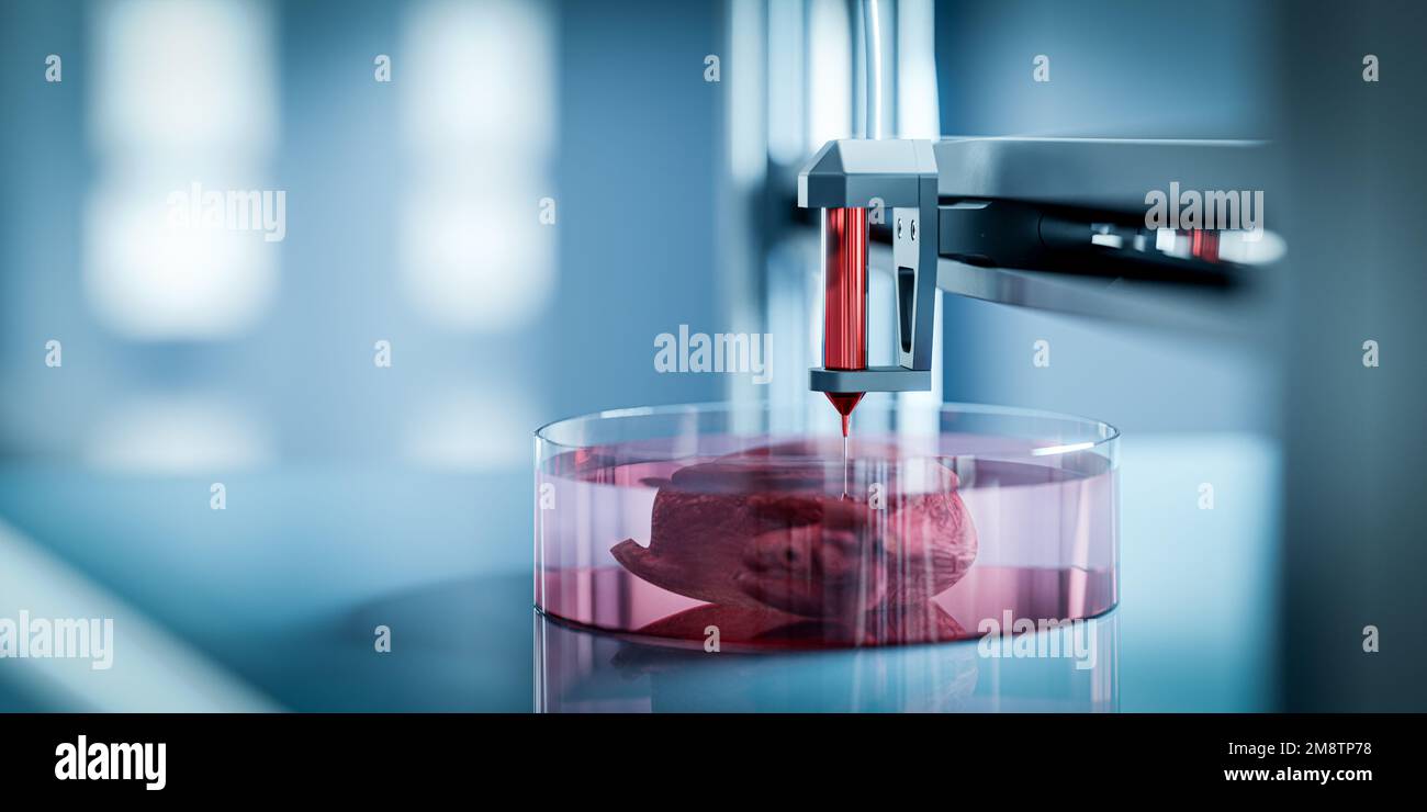 Bioprint 3D - il concetto di organi di stampa per trapianti su stampanti 3D. il futuro della transplantologia, rendering 3d. Foto Stock