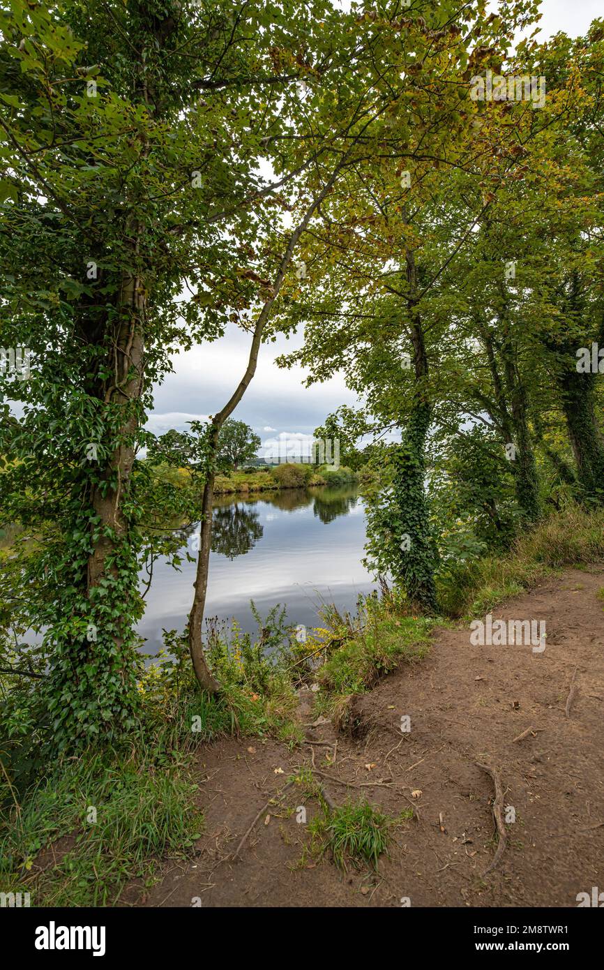 Vista dalla riva del fiume Tyne Corbridge UK Foto Stock
