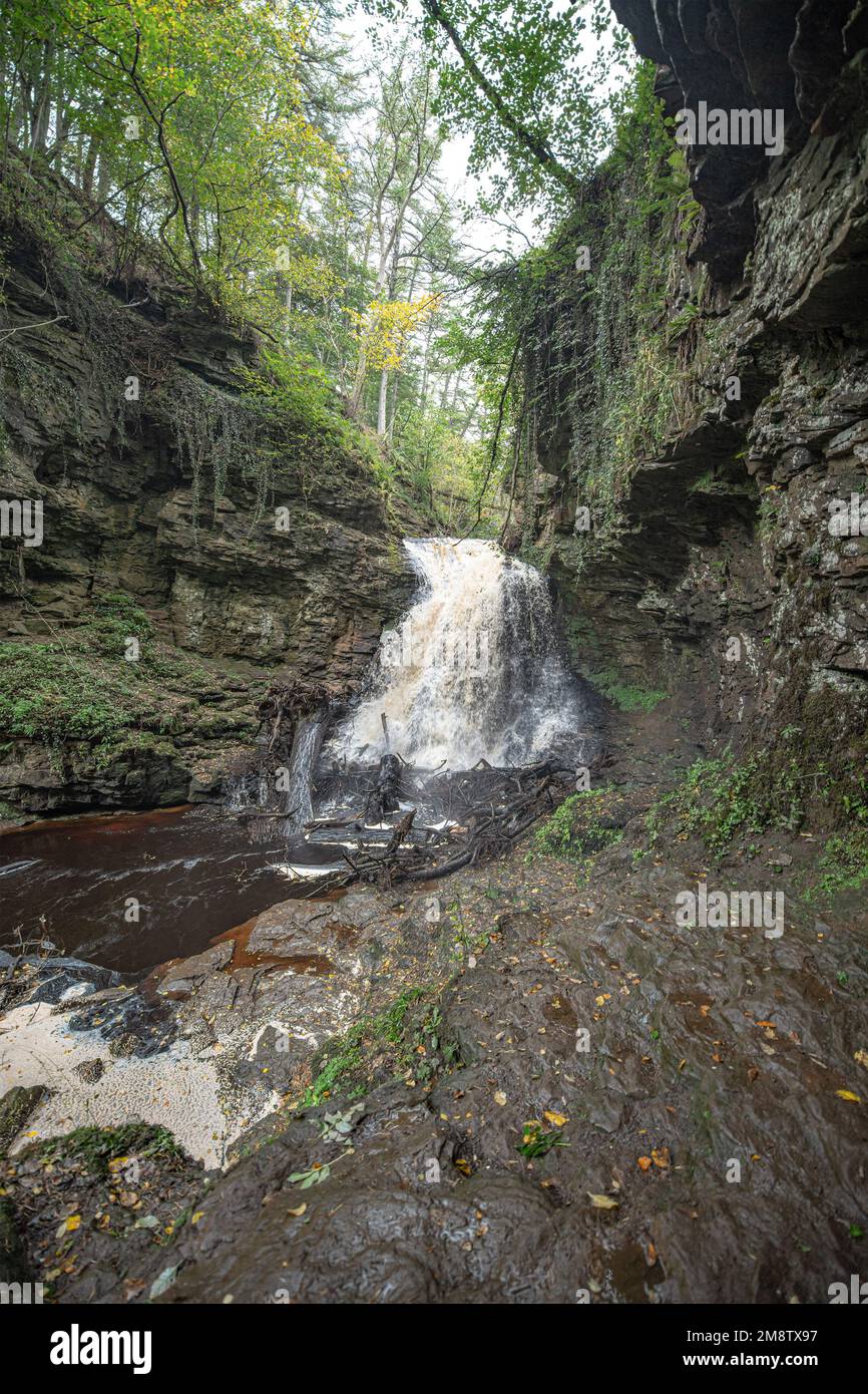 Cascata di Hareshaw Linn tra le pareti rocciose Foto Stock