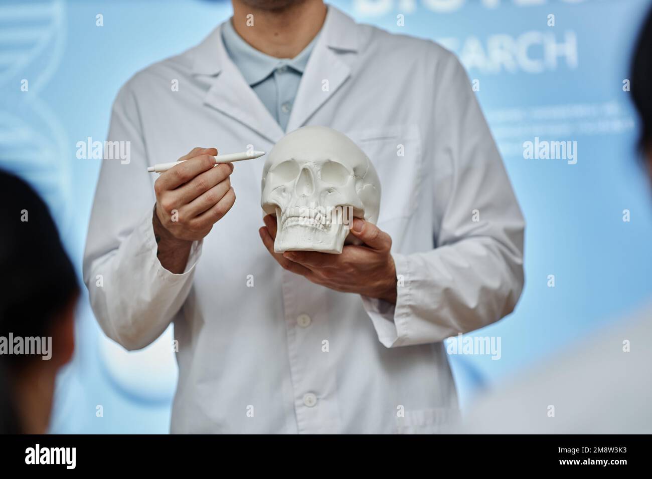 Ripresa ritagliata del medico che indica il modello del cranio durante la lezione o il seminario in università medica, spiegando la struttura ossea e i metodi di chirurgia del cervello Foto Stock