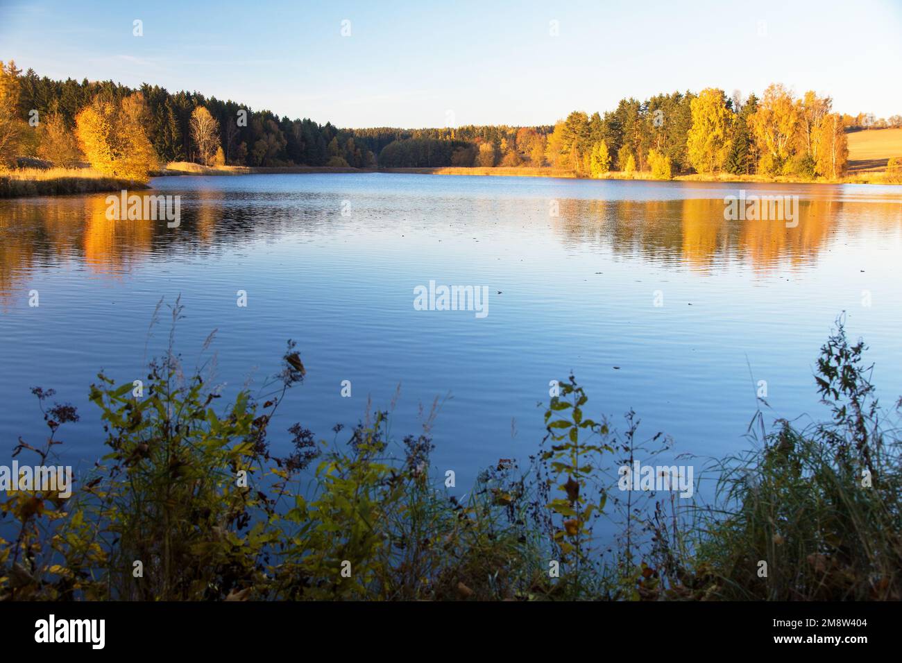 Vista autunnale dello stagno con riflesso del paesaggio variopinto della foresta autunnale, Divka stagno, Hamry nad Sazavou, Boemia e Moravia altopiani, Republique Ceca Foto Stock