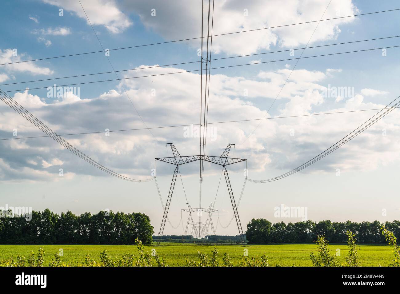 Fili elettrici e piloni di linea elettrica sul verde campo di campagna. Rete elettrica e distribuzione dell'energia elettrica Foto Stock
