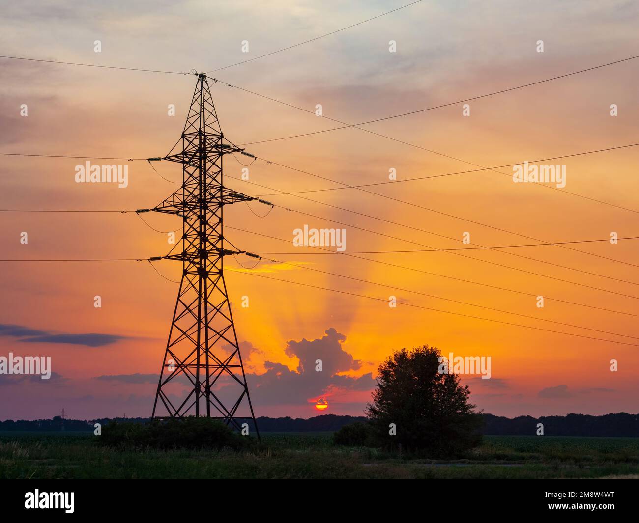 Linee elettriche al tramonto. Rete di distribuzione dell'elettricità Foto Stock