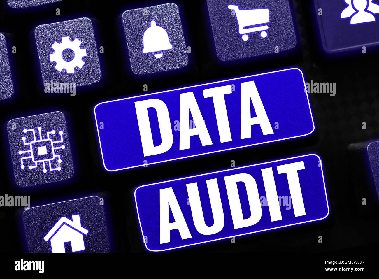 Simbolo di testo che mostra la verifica dei dati. Revisione dei dati in base al concetto aziendale per valutarne la qualità per uno scopo specifico Foto Stock