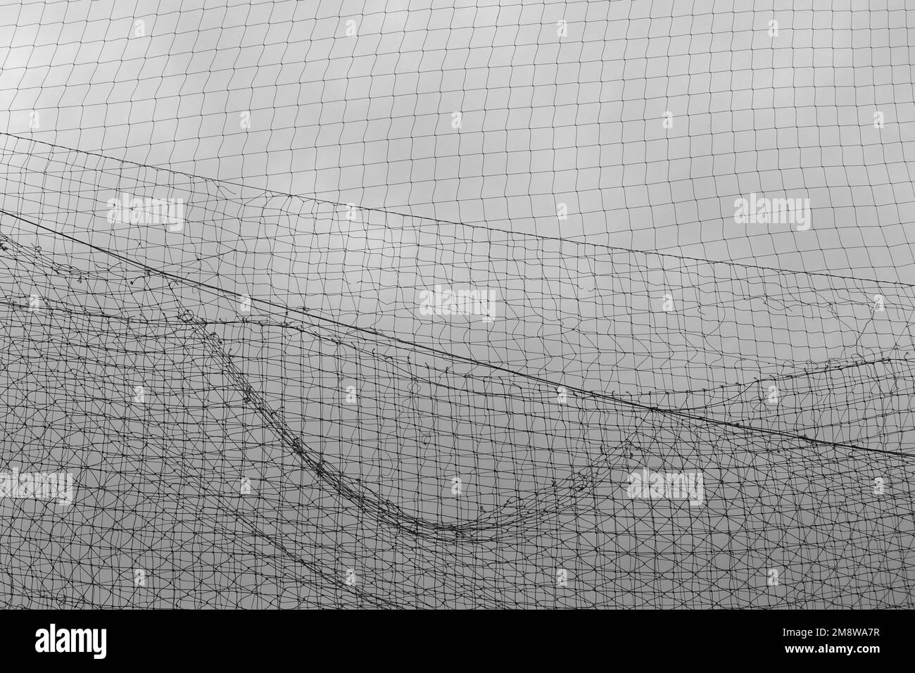 Rete Quadrata Nera Goodwin Netting 20' X 5' – Nylon #18 Per Baseball, Golf E Sport (resistente Agli Agenti)