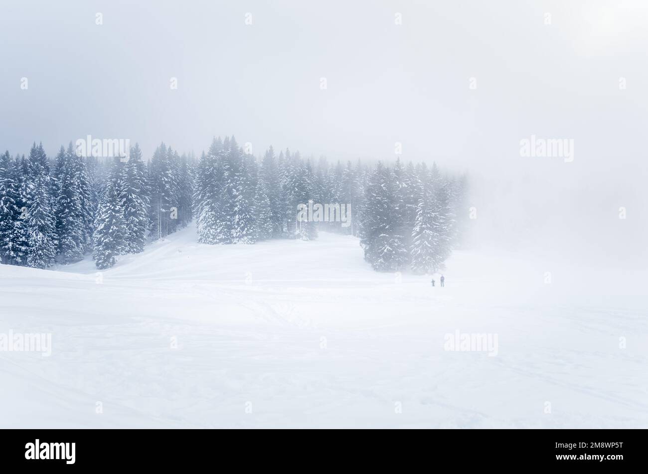 Sciatori di backcountry su una pista da sci in una giornata invernale nebbiosa Foto Stock