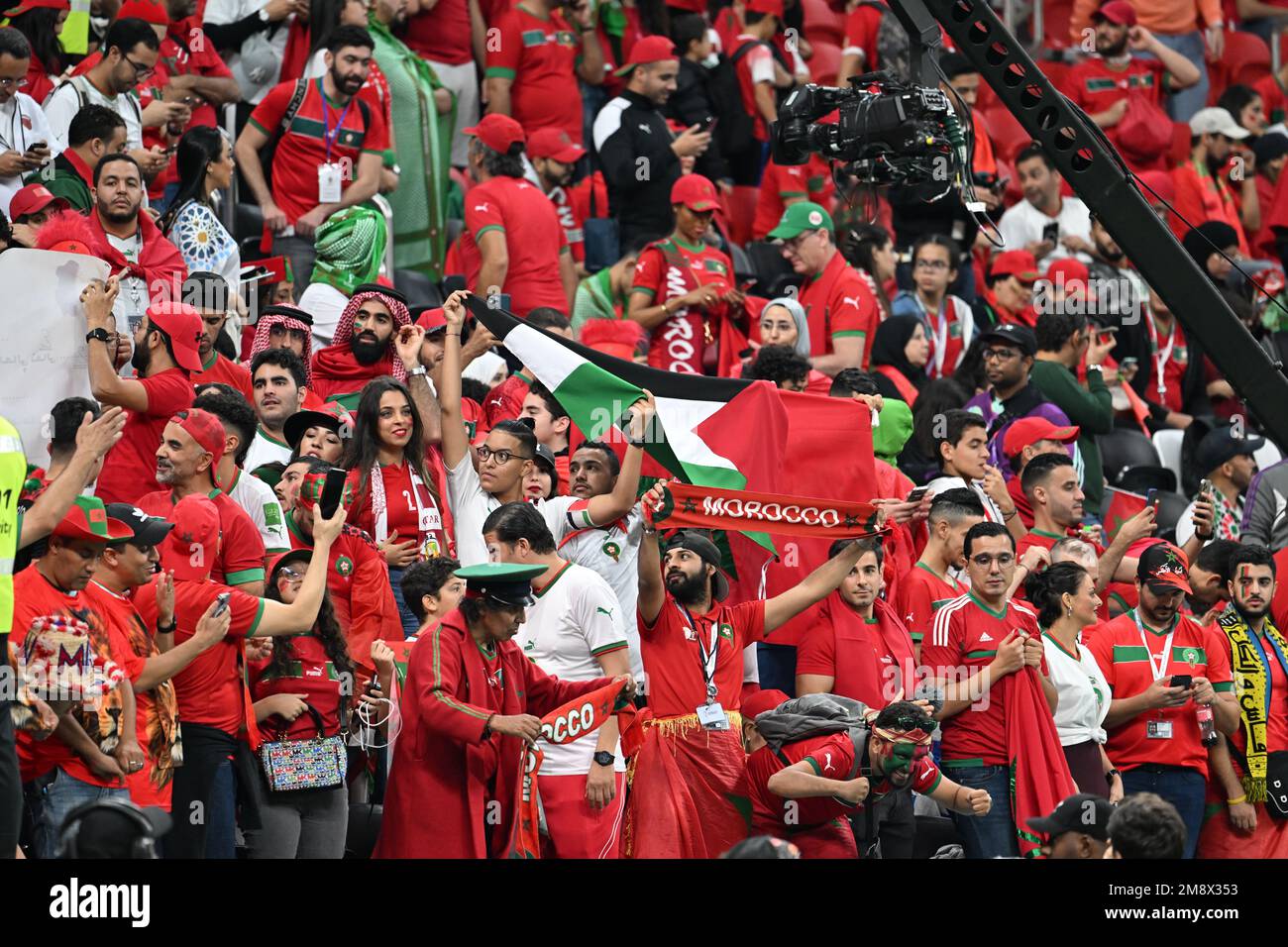 Palestine bandiere in azione durante la partita di Coppa del mondo FIFA 2022 tra Francia e Marocco, al Bayt Stadium, Doha, 14/12/2022 caratterizzato da: Palestine bandiere dove: Doha, Qatar quando: 14 dic 2022 credito: Anthony Stanley/WENN Foto Stock