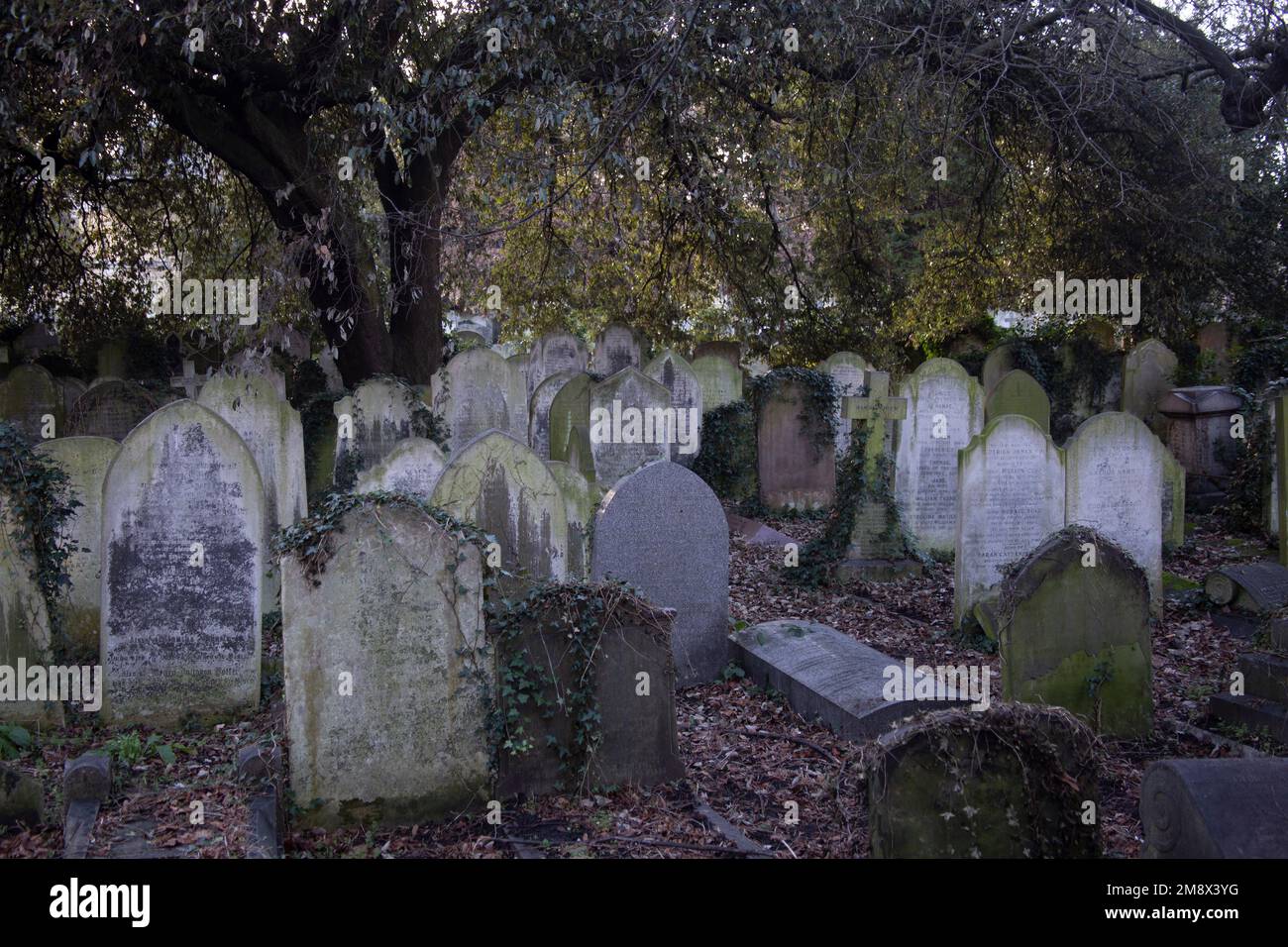 Lapidi nel cimitero di Brompton, Londra occidentale Inghilterra Regno Unito Foto Stock