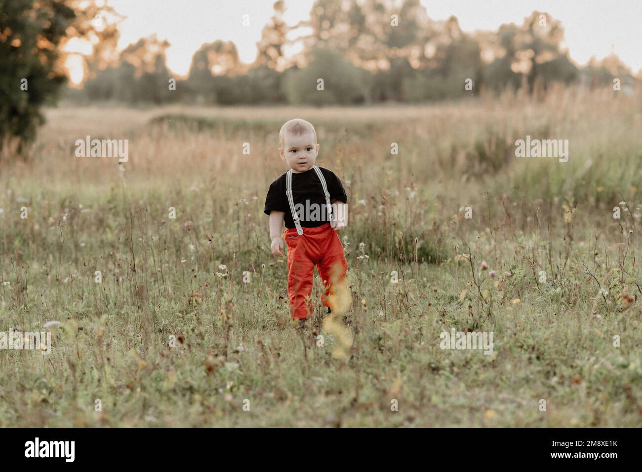 il bambino piccolo cammina sul campo in estate. La grana aggiunta simula la foto su pellicola Foto Stock