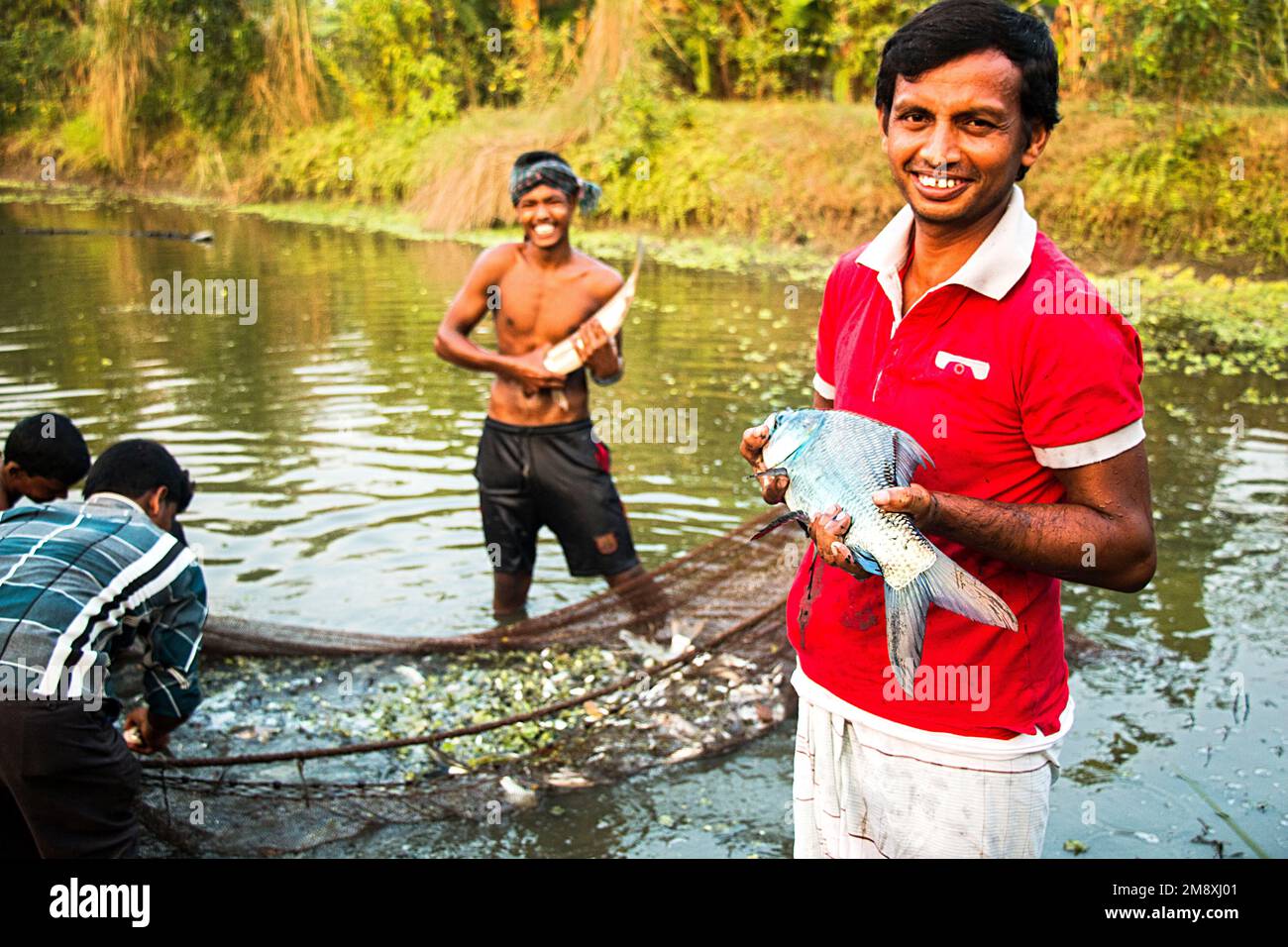 Gamberetti e gamberetti considerati come un oro bianco per gli agricoltori del Bangladesh meridionale come è la loro principale raccolta di denaro e fonte di cambio per il Foto Stock