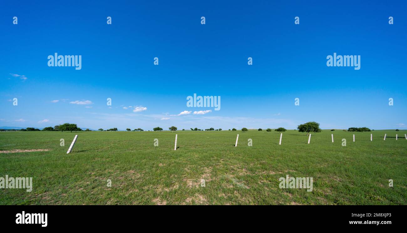 Le montagne di Tianshan nel paesaggio erboso interno della Mongolia Foto Stock