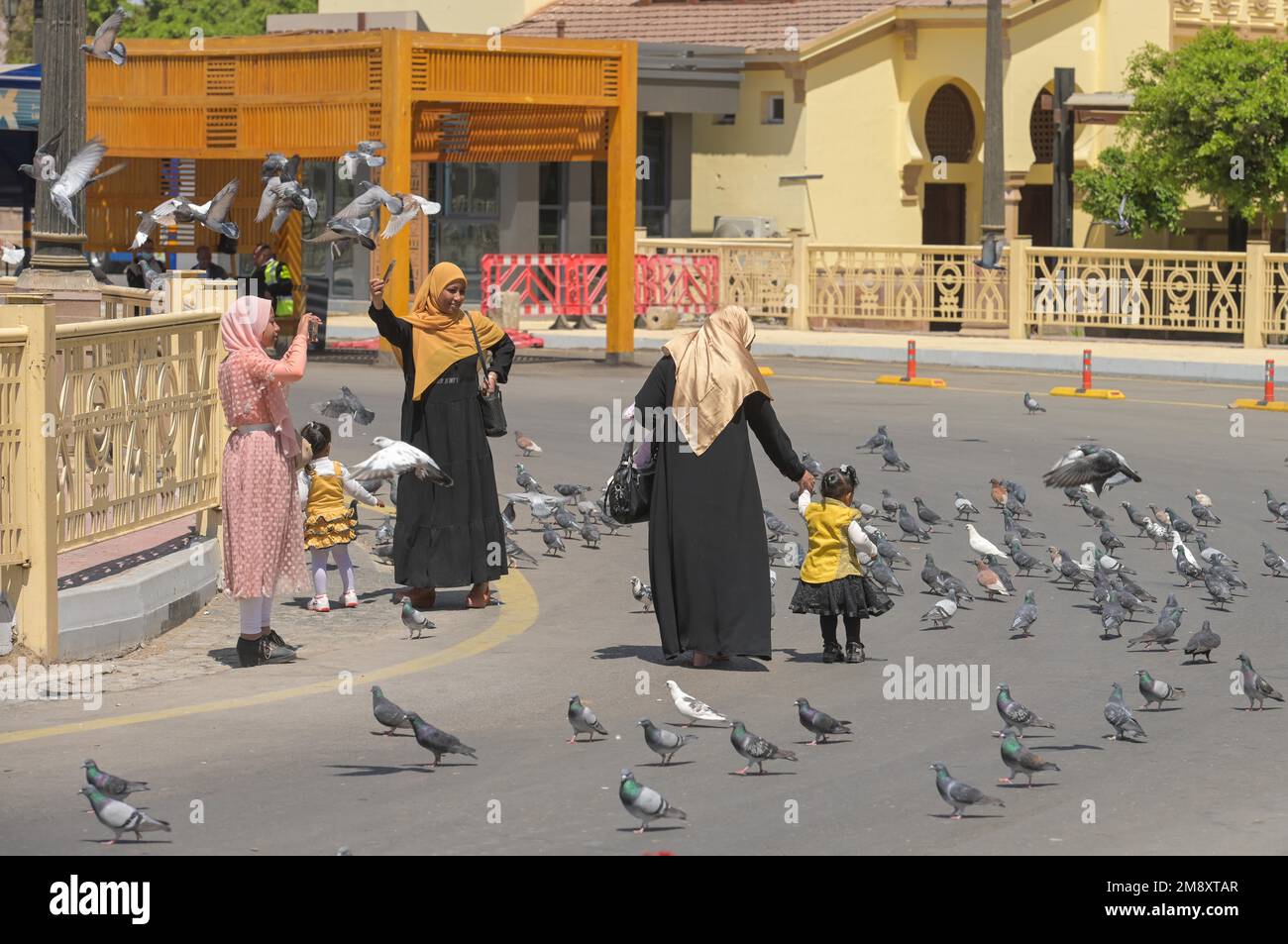 Street scene, famiglia, piccioni, Abu El-Hagag Square, Luxor, Egitto Foto Stock