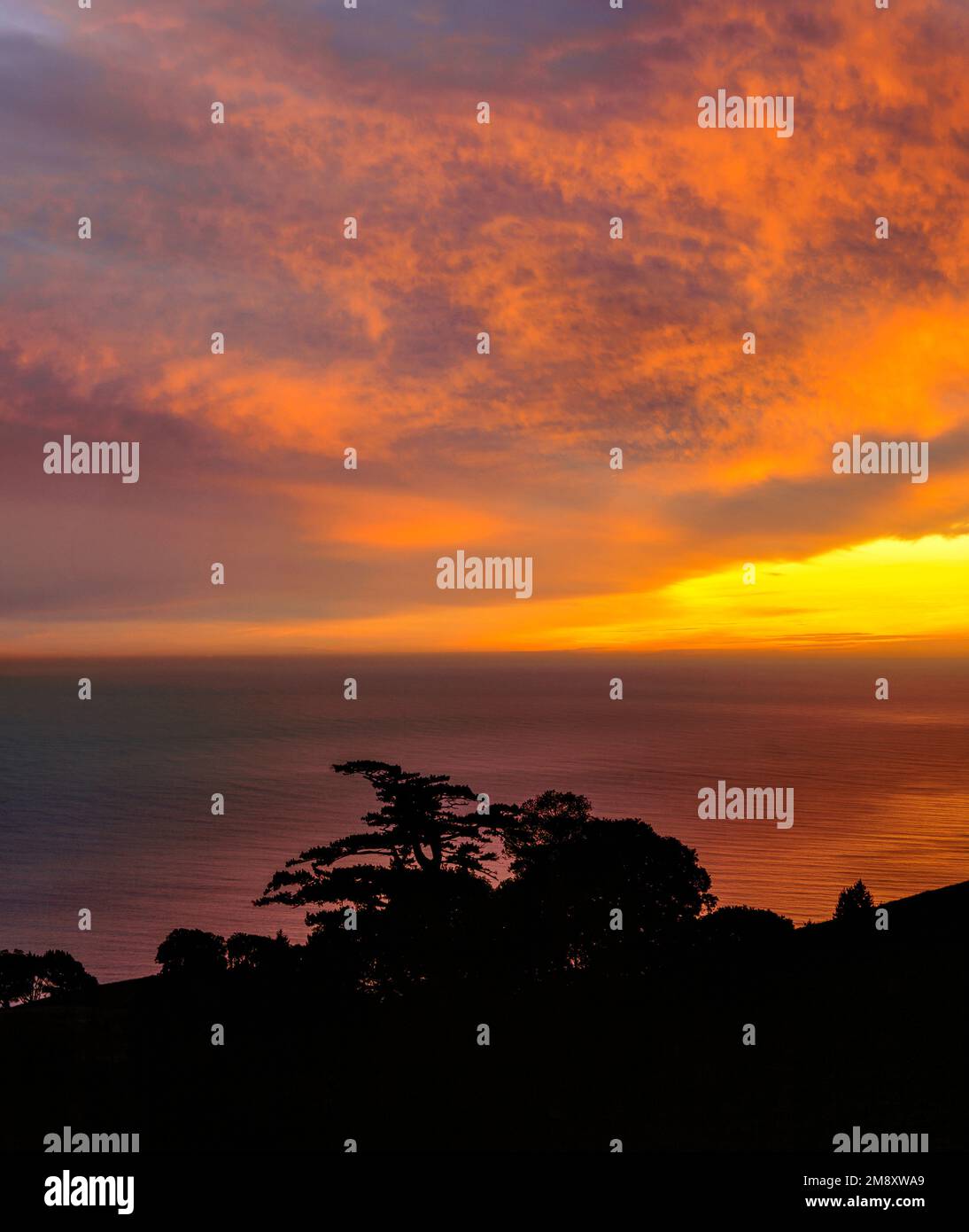 Sunset, Oceano Pacifico, Bolinas Ridge, Mount Tamalpais state Park, Golden Gate National Recreation Area, Marin County, California Foto Stock