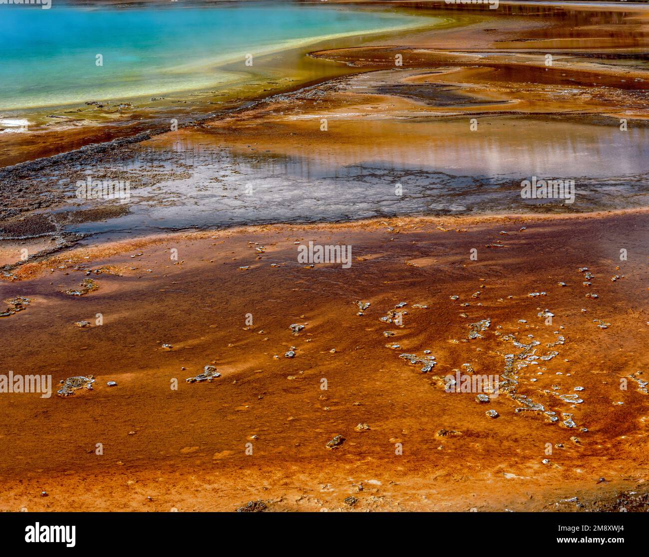 Grand Prismatic Spring, Midway Geyser Basin, il Parco Nazionale di Yellowstone, Wyoming Foto Stock