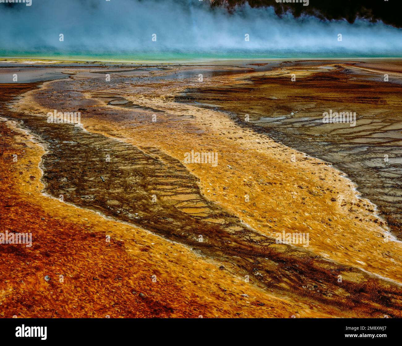 Grand Prismatic Spring, Midway Geyser Basin, il Parco Nazionale di Yellowstone, Wyoming Foto Stock