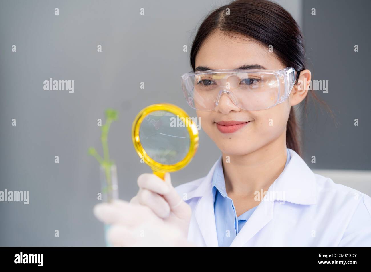 Biologo che tiene giovane pianta con radice in provetta in laboratorio, biotecnologia, cura delle piante e concetto di protezione. Foto Stock