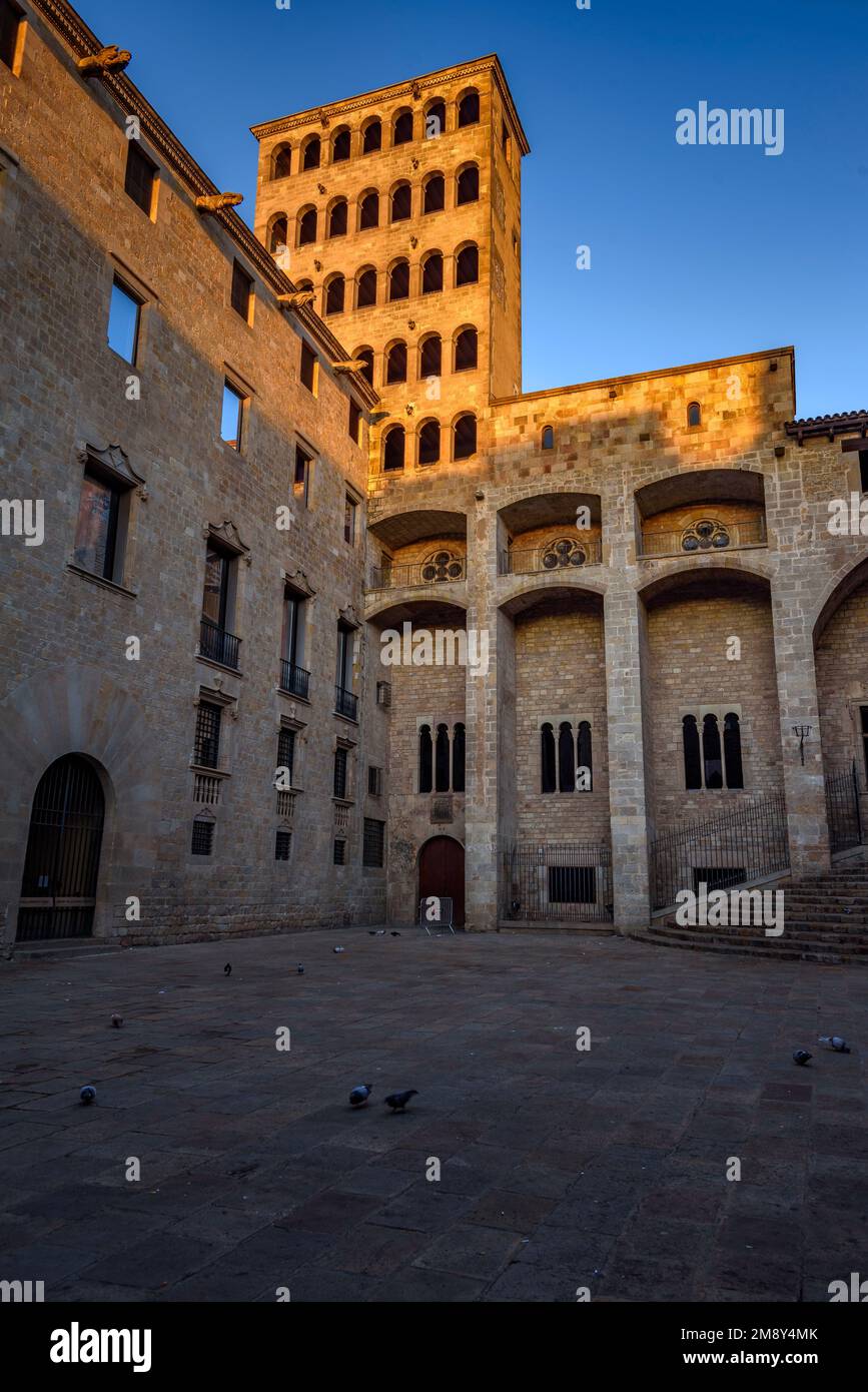 Piazza Plaza del Rei e la torre Mirador del Rei Martí all'alba, nel quartiere gotico di Barcellona (Catalogna, Spagna) Foto Stock