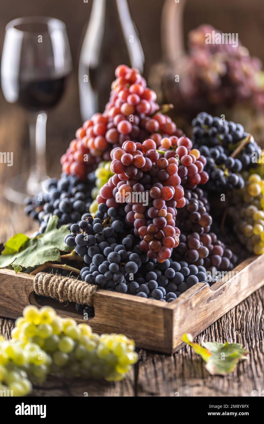 Succulenti grappoli di uva in una scatola di legno, vino rosso sullo sfondo. Foto Stock