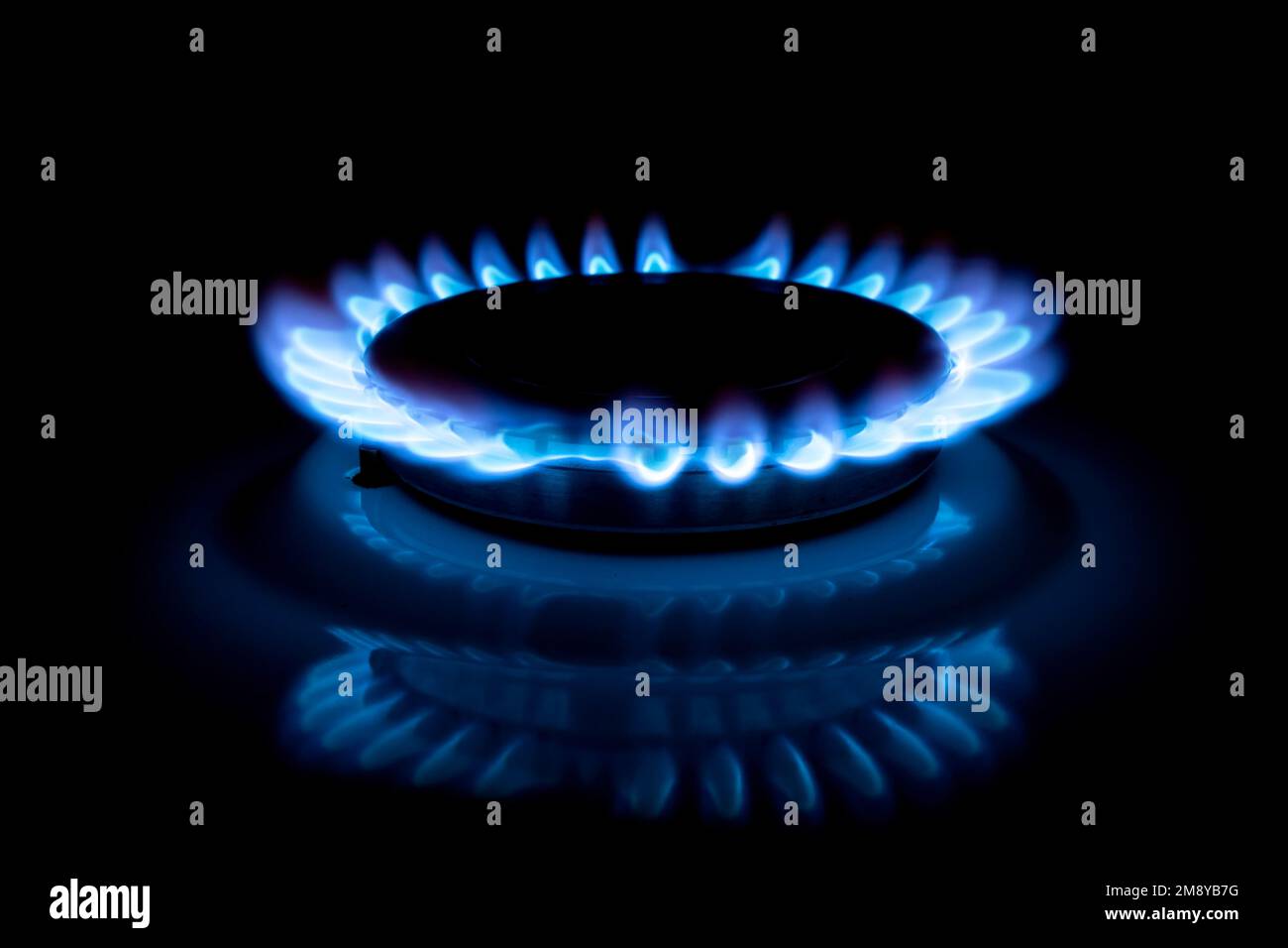 Fornello a gas con gas propano di fuoco che brucia. Fiamme blu su bruciatore stufa a gas isolato su sfondo nero Foto Stock