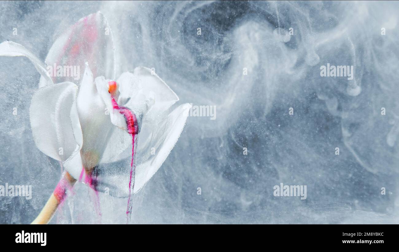 fantasia fiore sfondo astratto bianco nebbia d'inchiostro Foto Stock