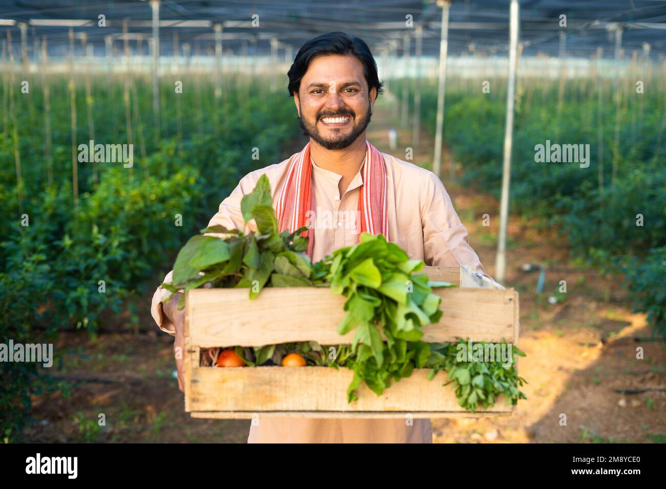 Felice giovane agricoltore sorridente che trasporta il cestino di verdure per il mercato a casa verde - concetto di business di successo, fiducioso e professionale Foto Stock