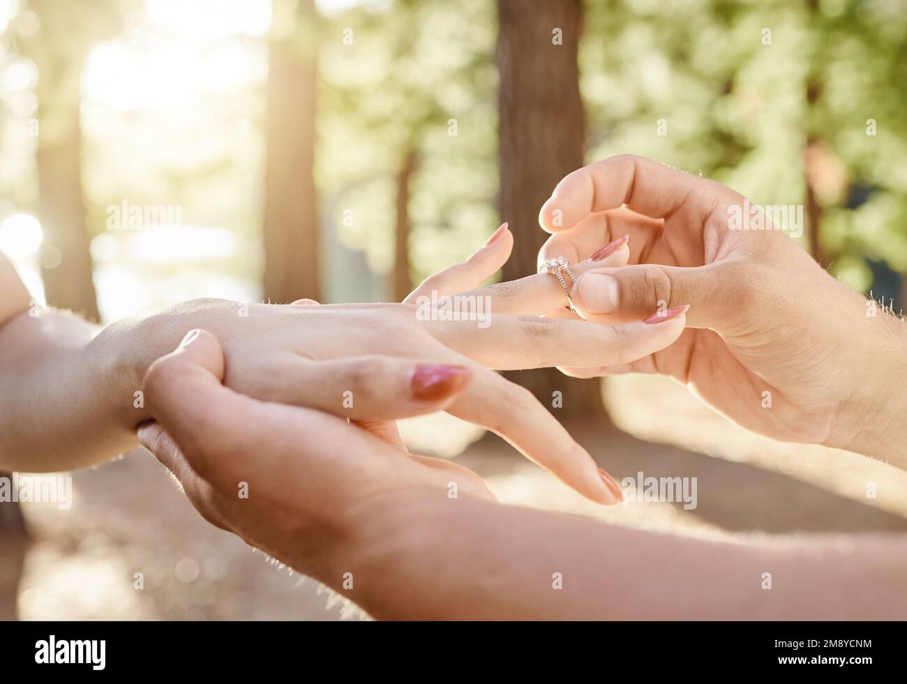 Legato dall'amore e dal tempo. un uomo irriconoscibile in piedi e mettere un anello di fidanzamento sul dito delle sue fidanzate nel bosco. Foto Stock