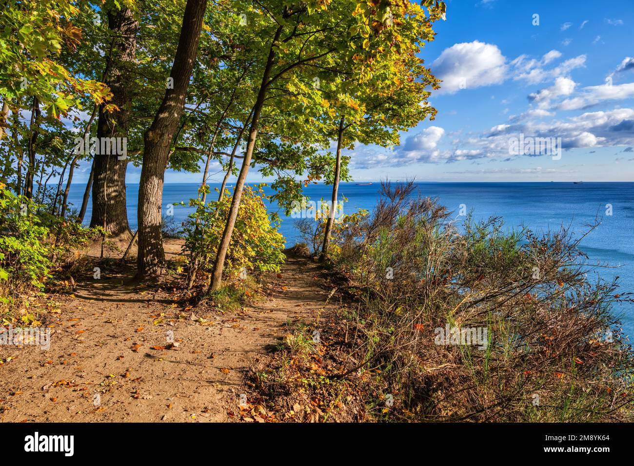 Panoramica costa del Mar Baltico, paesaggio autunnale con sentiero sul mare a Gdynia, Polonia settentrionale. Foto Stock
