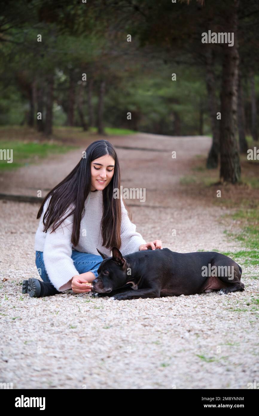 Giovane donna caucasica allenando il suo cane di razza mista a deporsi. Foto Stock