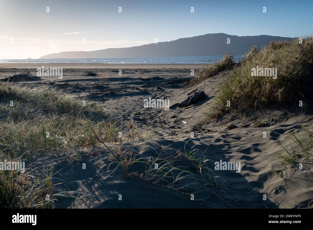 Kapiti Island, Waikanae, Kapiti District, North Island, Nuova Zelanda Foto Stock