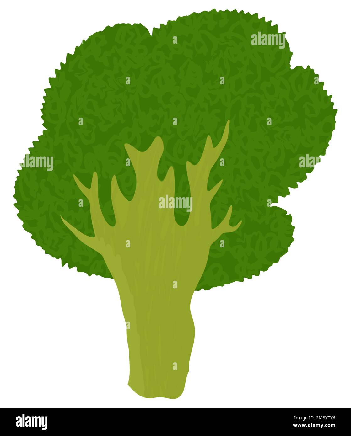 Broccoli clip Art semplice isolato Foto Stock