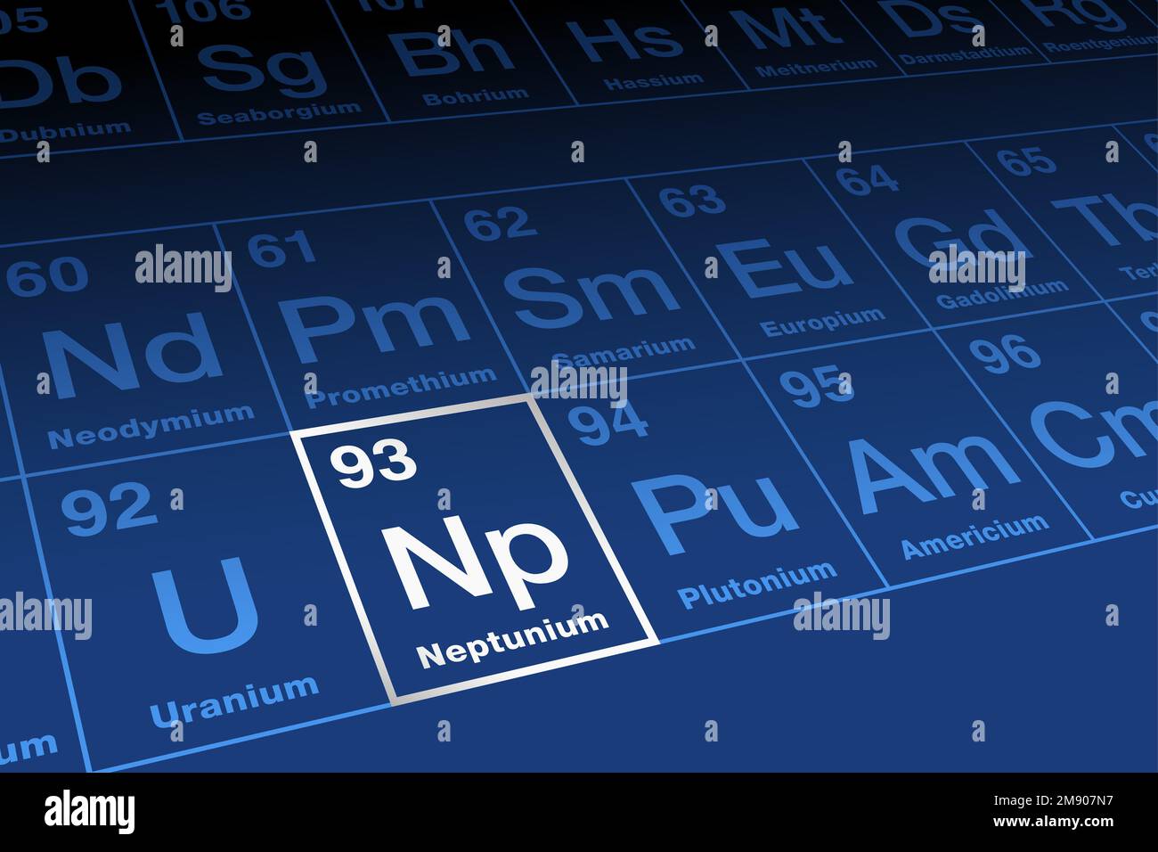 Neptunio su tavola periodica degli elementi. Elemento metallico radioattivo nella serie di attinidi con numero atomico 93 e simbolo NP. Foto Stock