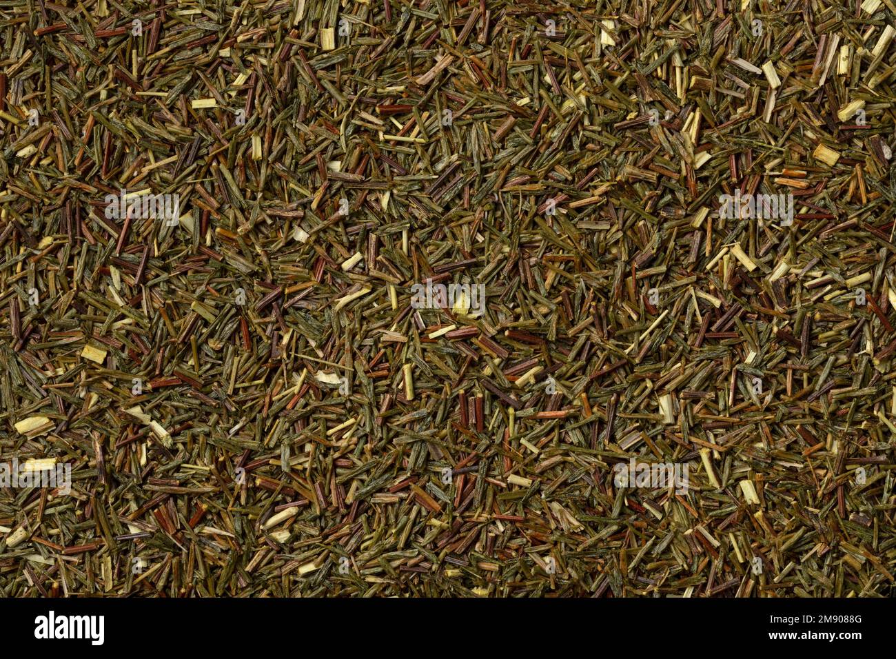 Il tè secco non fermentato verde sudafricano Rooibos foglie primo piano telaio completo come sfondo Foto Stock