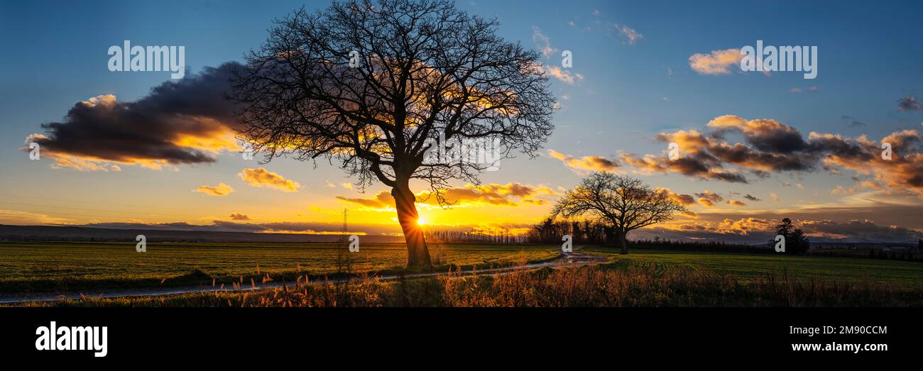 Un tramonto invernale Foto Stock