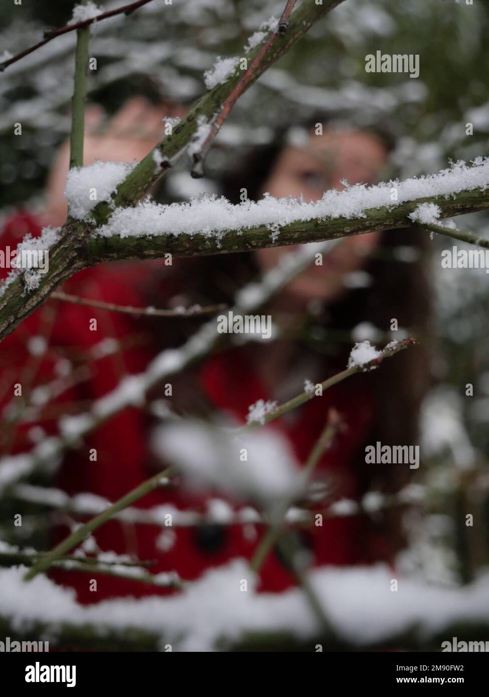 una giovane ragazza che cammina con un cappotto rosso in un ambiente con  alberi (foresta, giardino) nel freddo circondato da neve bianca Foto stock  - Alamy