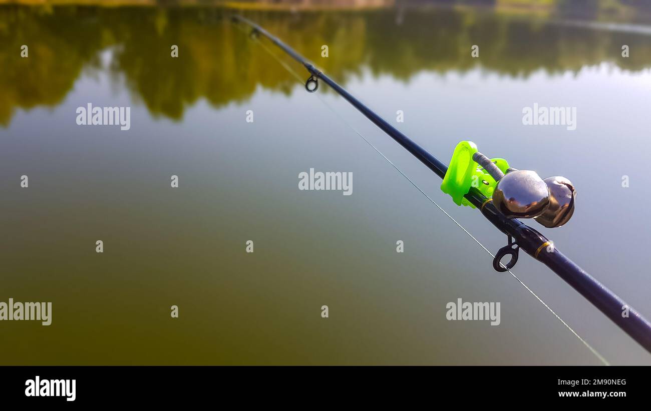 Pesca di altalena. Canne per la pesca della carpa con segnalazione ravvicinata. Tipo di cialda. Pesca di carpe sullo sfondo del lago. Il pescatore cattura Foto Stock