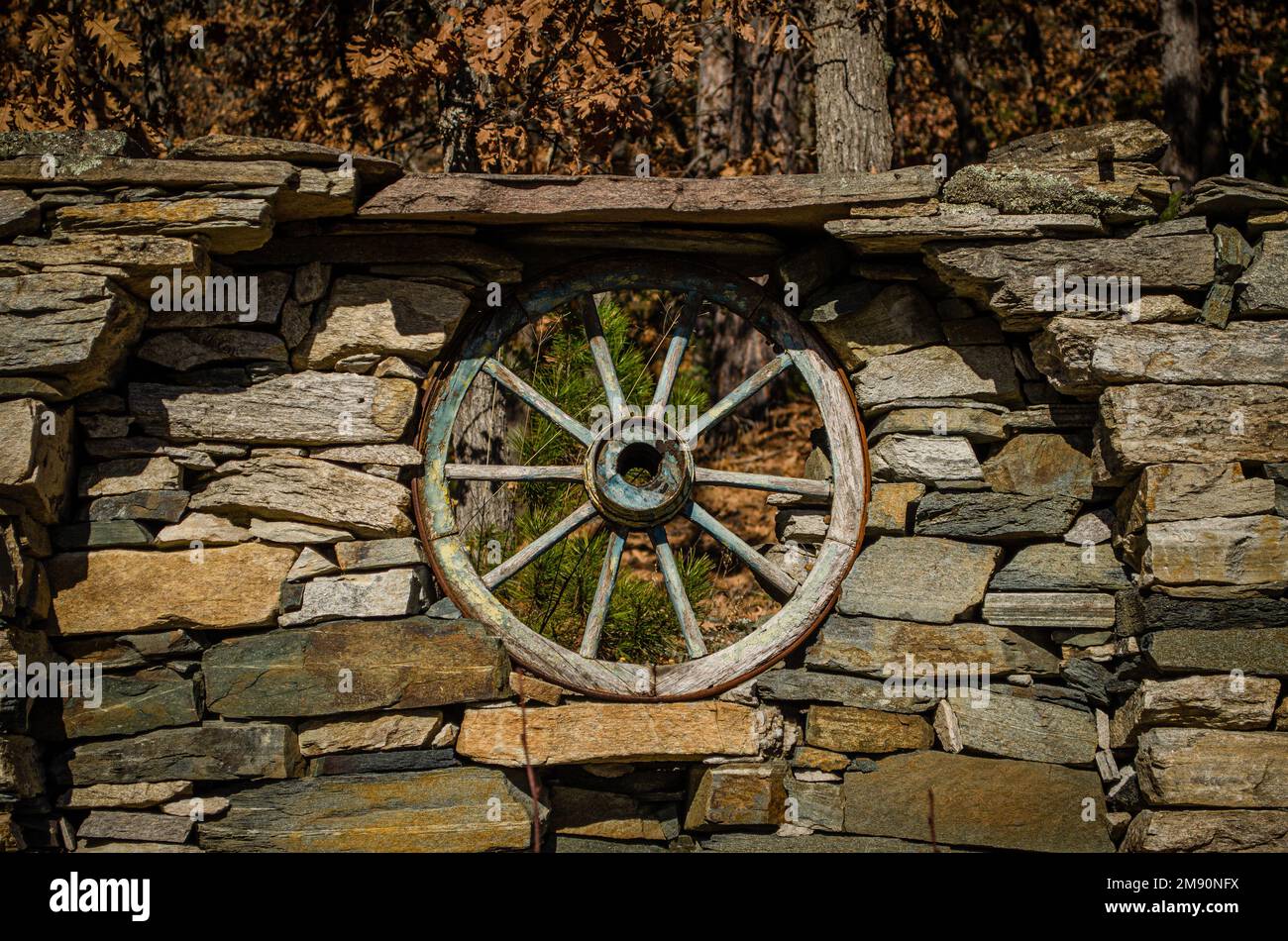 Vecchia ruota di legno speciale per carrelli (karutsa in bulgaro). Foto Stock
