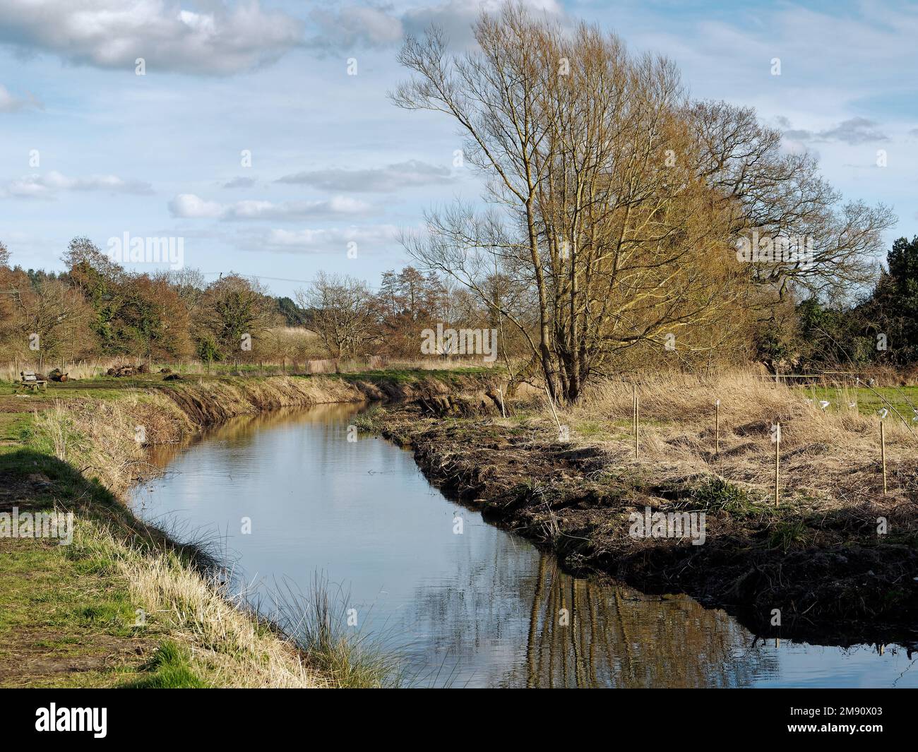 Restaurata sezione del Walsham Nord e Dilham Canal tra Bacton Wood Mill e eBridge nel Nord Norfolk ora ricca di fauna selvatica. Foto Stock