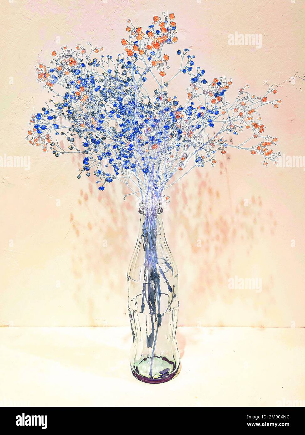 Vista astratta di fiori secchi e appassiti in vaso su sfondo bianco Foto Stock