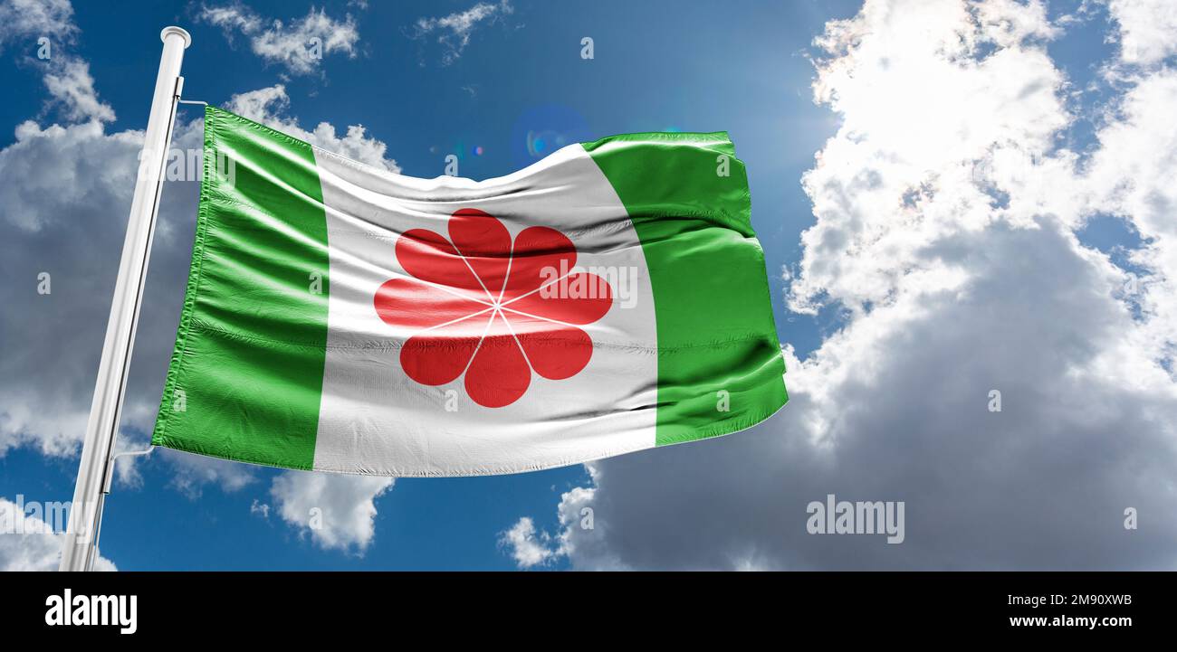 Variante indipendente della proposta della bandiera di Taiwan, simbolo di quattro cuori in armonia, proposta della bandiera verde di Taiwan Foto Stock